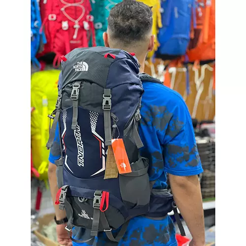 کوله پشتی کوهنوردی 50 لیتری نورث فیس (North Face) مدل Electron50